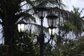 Lamp post beside coconut tree in a evening