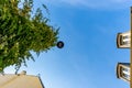 Low angle view of a lamp post covered with honeysuckle, Butte-aux-Cailles, Paris, France Royalty Free Stock Photo