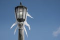 Icycles on Lamp post