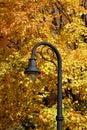 Lamp post in Fall colors