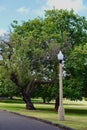 A lamp post near the trees in a park Royalty Free Stock Photo