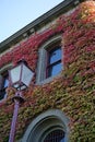 Lamp post outside a historic building covered in autumn foliage Royalty Free Stock Photo