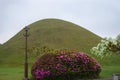 A lamp post, pink azalea bush and tree with white flowers in front of a grass-covered hill