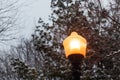 Lamp post winter Royalty Free Stock Photo