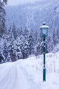 Lamp Post in Winter Royalty Free Stock Photo