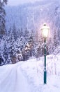 Lamp Post in Winter Royalty Free Stock Photo