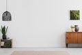 Lamp and poster in white empty living room interior with plants and wooden cabinet. Real photo. Place for your furniture Royalty Free Stock Photo