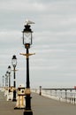 Lamp posts at Whitby North Yorkshire.