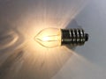 lamp Single light bulb macro shot Royalty Free Stock Photo