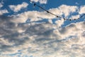 Lamp string hanging against a cloudy blue sky background Royalty Free Stock Photo