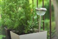 Lamp on the terrace in raindrops, garden lamp solar powered