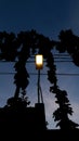 Lamp under the tree and blueish sky Royalty Free Stock Photo