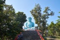 The Daibutsu Buddha statue in Wat Phra That Doi Phra Chan temple