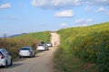 Many tourist are riding cars at Tung Bua Tong Mexican sunflower field in EGAT