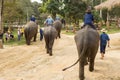 LAMPANG, THAILAND - DECEMBER 7, 2018 : Tourist Thailand, Mahout Royalty Free Stock Photo