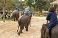 LAMPANG, THAILAND - DECEMBER 7, 2018 : Tourist Thailand, Mahout Royalty Free Stock Photo