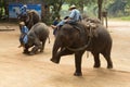 LAMPANG, THAILAND - DECEMBER 7, 2018 : Tourist Thailand, Mahout Royalty Free Stock Photo