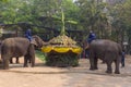 At The Thai Elephant Conservation Center Lampang province are offering a large catering fruit buffet Khantok Chang for elephants