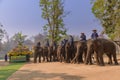 At The Thai Elephant Conservation Center Lampang province are offering a large catering fruit buffet Khantok Chang for elephants