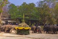 At The Thai Elephant Conservation Center Lampang province are offering a large catering fruit buffet Khantok Chang for elephants