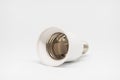 Lampholder adapter E14 to E27 Royalty Free Stock Photo