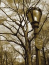 Lampost, sign, trees