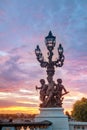 Lamppost at the Alexander III bridge in Paris Royalty Free Stock Photo