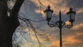 A lamppost, as well as a part of a tree with branches against a sunset yellow cloudy sky. Royalty Free Stock Photo