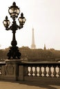 Lamppost On The Bridge In Paris