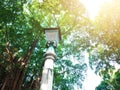 Lamppost in city park