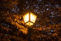Lamppost at dusk in the Parque del Retiro in Madrid
