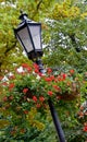 Lamppost with hanging baskets
