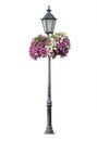 Lamppost with hanging flowers, isolated