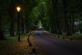 Lampposts light up a road which crosses the park among the trees, Huntly, Scotland, United Kingdom