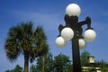 Lampposts with palm trees in background, Charleston, SC