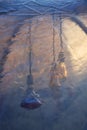 Abstract image of light bulbs in a plastic igloo.