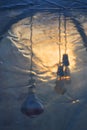 Abstract image of light bulbs in a plastic igloo.