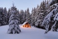 The lamps light up the house at the evening time. Winter landscape. Wooden hut on the lawn covered with snow. Mystical night.