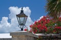 Lampshade and Bougainvillea