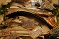 Lampuga - Dolphin Fish, Orate - Sea Bream, Eels - Mercato Orientale, Genoa, Italy