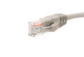 LAN cable CAT5E with RJ45 head for computer network Royalty Free Stock Photo