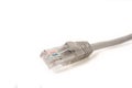 LAN cable CAT5E with RJ45 head for computer network Royalty Free Stock Photo