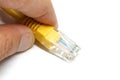 LAN cable closeup detail object isolated Royalty Free Stock Photo