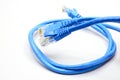 LAN Cable connect to Network Device Royalty Free Stock Photo