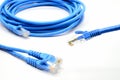 LAN Cable connect to Network Device Royalty Free Stock Photo
