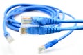 LAN Cable connect to Network Device Royalty Free Stock Photo