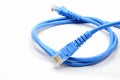LAN Cable connect to Network Device Royalty Free Stock Photo