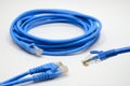 LAN Cable connect to Network Device Royalty Free Stock Photo