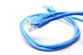 LAN Cable connect to Network Device Royalty Free Stock Photo