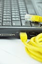 LAN cable connected to laptop Royalty Free Stock Photo